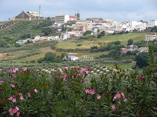 FINCA LA MARQUESA en MONTILLA — miniatura 8