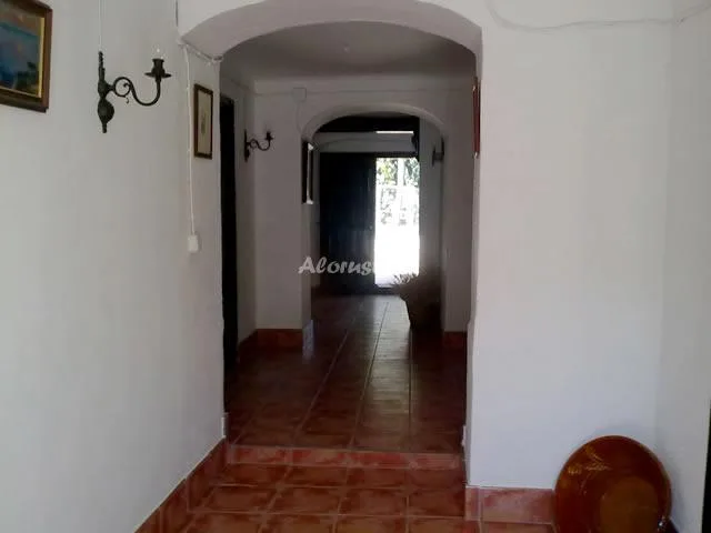 FINCA LA MARQUESA en MONTILLA — miniatura 12