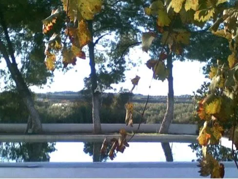 FINCA LA MARQUESA en MONTILLA — miniatura 16