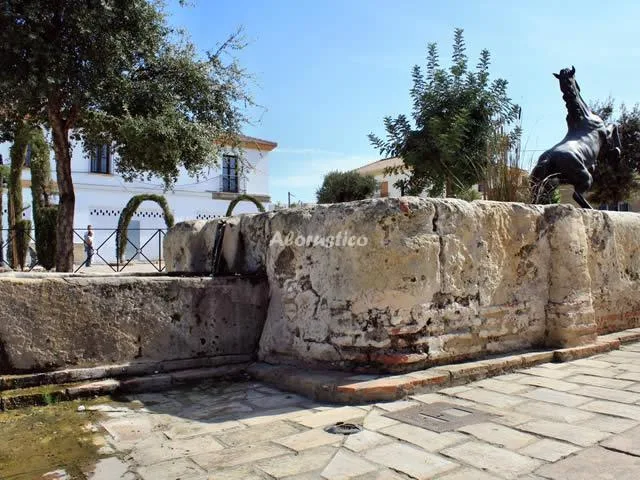 LAS ANZARAS en GUADALCÁZAR — miniatura 13