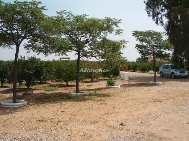 CASA RURAL HUERTA LOS NARANJOS en FUENCUBIERTA — miniatura 16