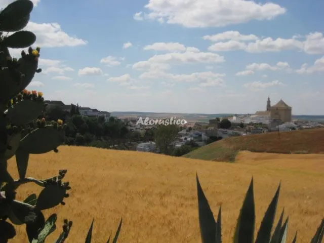 CASA HONDA en SANTAELLA — miniatura 19