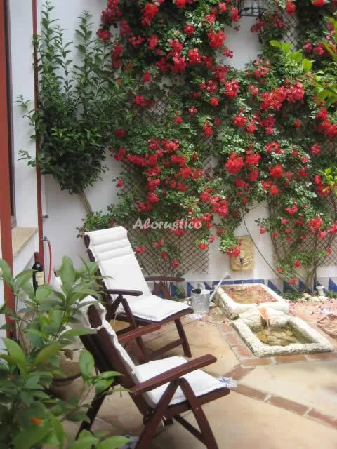 CASA HONDA en SANTAELLA — miniatura 24