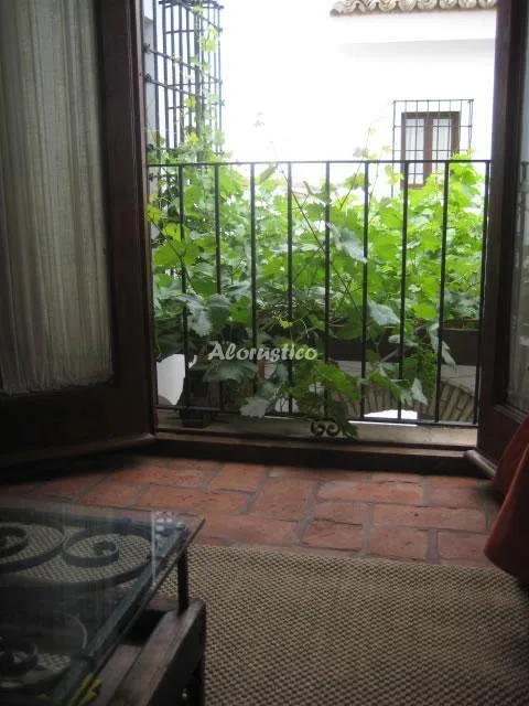 CASA HONDA en SANTAELLA — miniatura 33
