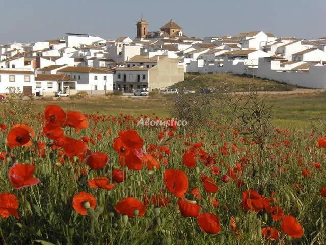 CASA LA BARCA en PALENCIANA — miniatura 9