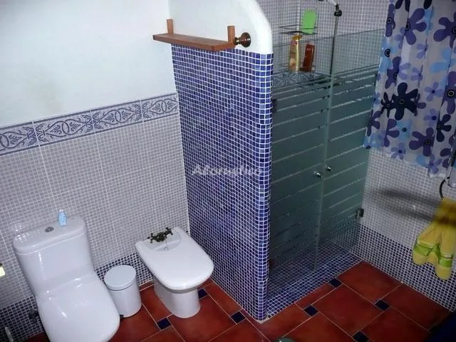 VILLA VIRGINIA en LA RAMBLA — miniatura 15