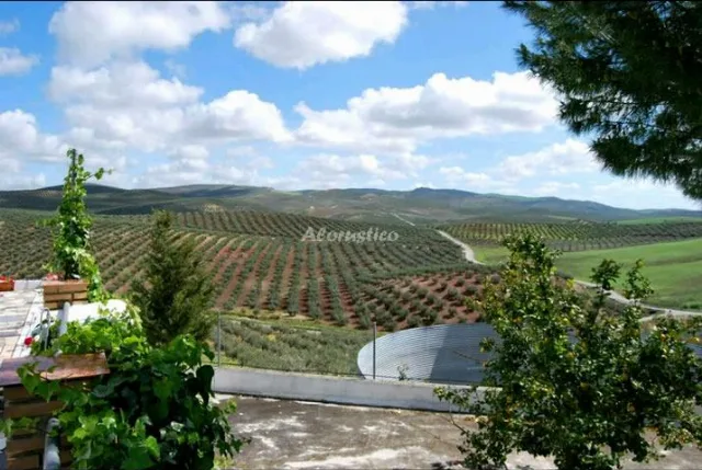 CORTIJO PIEDRABERMEJA en CASTRO DEL RÍO — miniatura 26