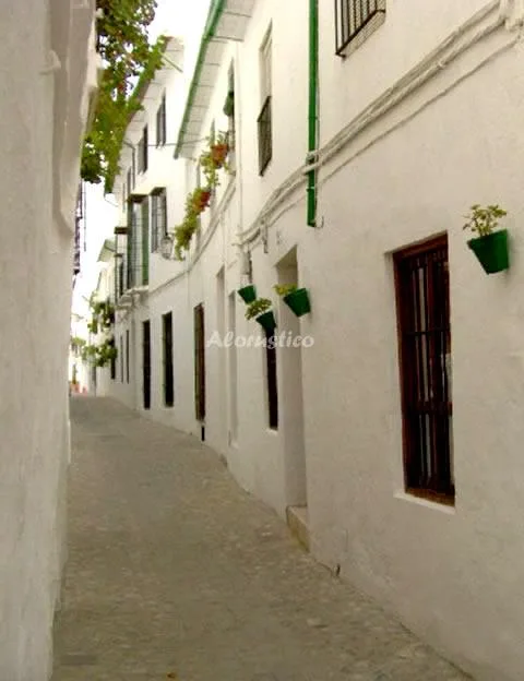 CASA LA VILLA en PRIEGO DE CÓRDOBA — miniatura 13