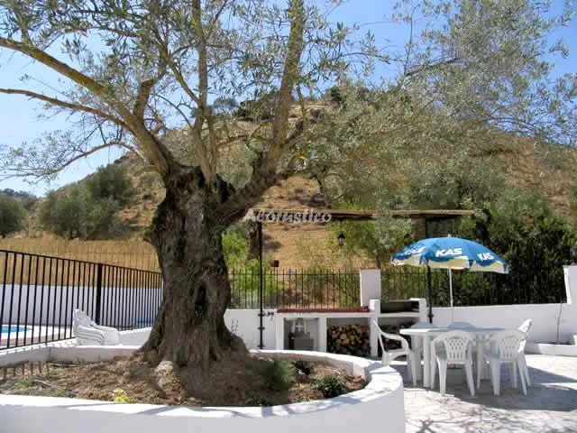 CASA CARRASCA II en PRIEGO DE CÓRDOBA — miniatura 5