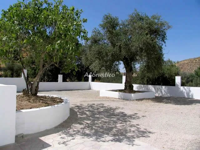 CASA CARRASCA II en PRIEGO DE CÓRDOBA — miniatura 14