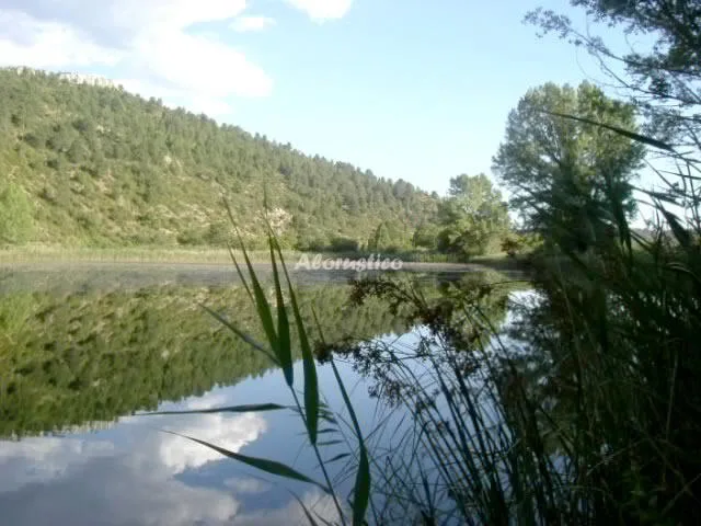 CASA EL AUTILLO en LAGUNA DEL MARQUESADO — miniatura 5