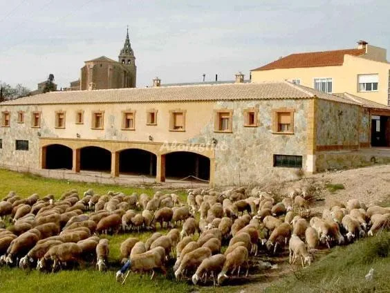 LAS ALDABAS-APTO DON QUIJOTE en VILLANUEVA DE LA JARA — miniatura 10