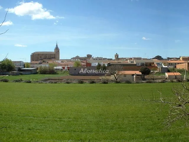 LA CASITA en VILLANUEVA DE LA JARA — miniatura 13