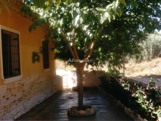 LA CASITA en VILLANUEVA DE LA JARA — miniatura 12