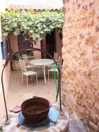 CASA RURAL LAS CARRETAS en ALMODOVAR DEL PINAR — miniatura 27