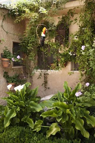 Casa rural el Simarro en EL SIMARRO — miniatura 27