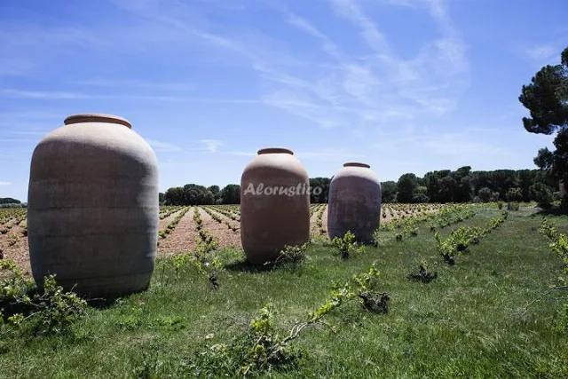 Casa rural el Simarro en EL SIMARRO — miniatura 7
