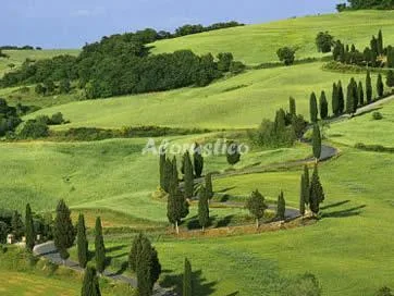 ARCADIA en AREZZO — foto 1 de 18