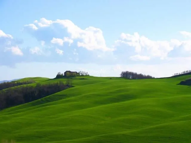 ARCADIA en AREZZO — miniatura 7