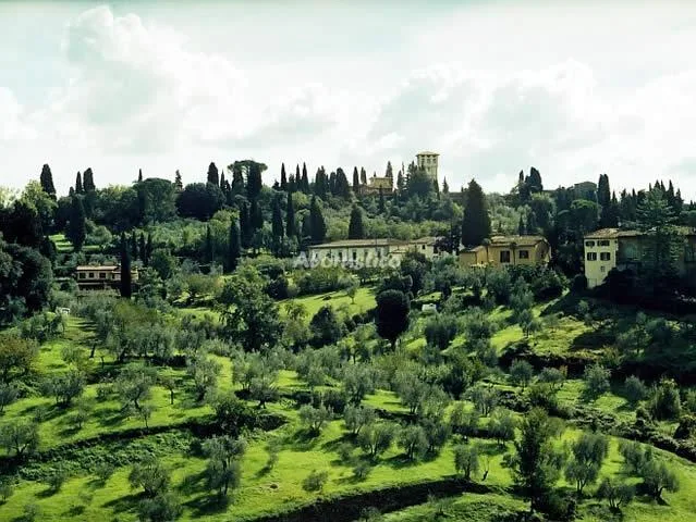 ARCADIA en AREZZO — miniatura 13