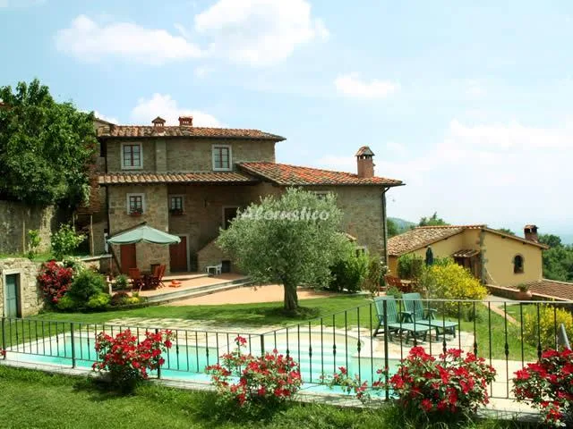 ARCADIA en AREZZO — miniatura 14