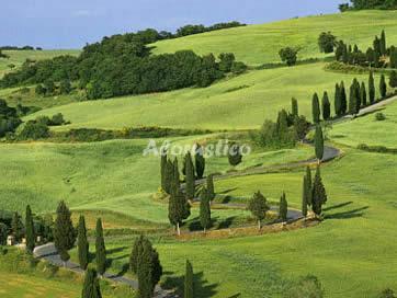 Alojamiento turístico GALATEA en AREZZO, ITALIA
