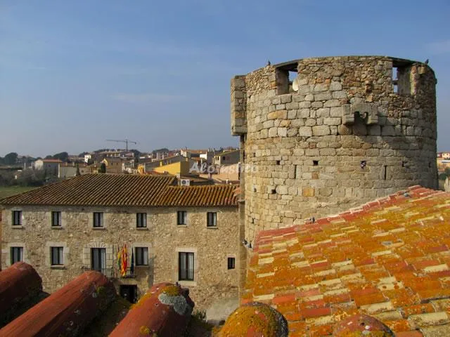 CASA DE LA TORRE en CAPMANY — foto 2