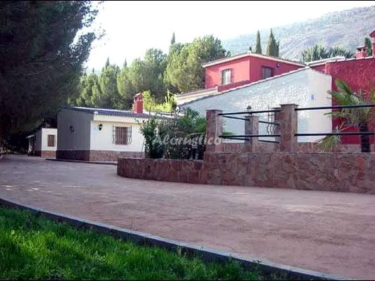 CIPRÉS en HUETOR SANTILLAN — miniatura 19