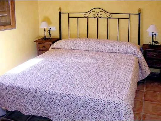 CIPRÉS en HUETOR SANTILLAN — miniatura 23