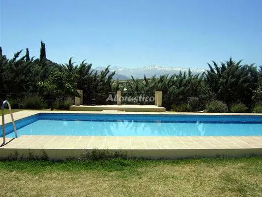 CIPRÉS en HUETOR SANTILLAN — miniatura 9