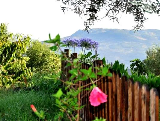 CASITA DE Mª ROSA en LANJARÓN — miniatura 7