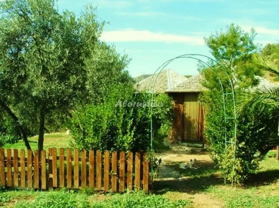 CASITA DE Mª ROSA en LANJARÓN — foto 2