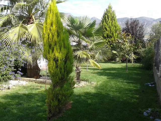 CORTIJO JERÓNIMO en DURCAL — miniatura 10
