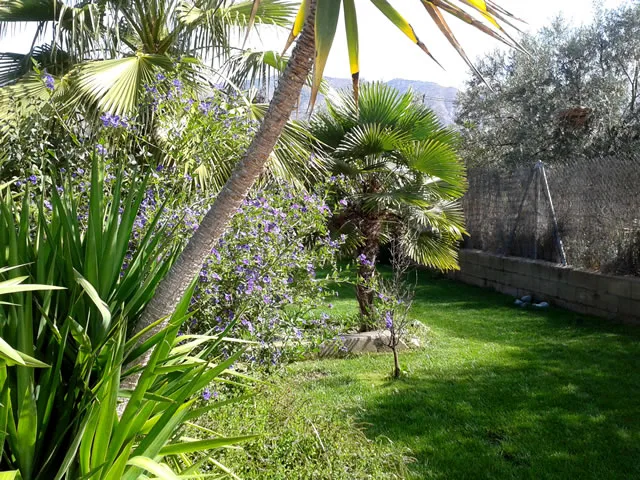 CORTIJO JERÓNIMO en DURCAL — miniatura 21