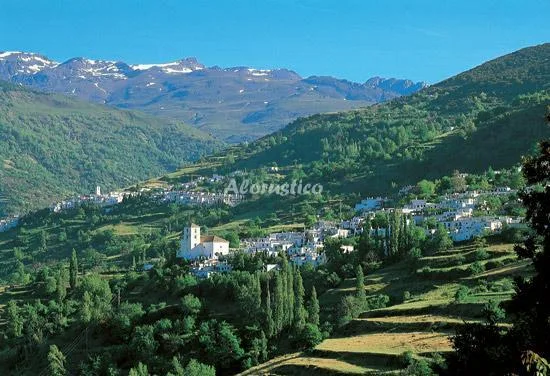 Alojamiento turístico CASA LA PLAZA en CAPILEIRA · GRANADA