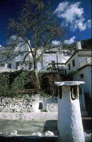 CASA LA PLAZA en CAPILEIRA — miniatura 19