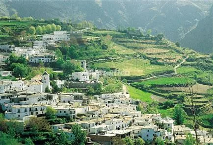 CORTIJO RIO CHICO--LOS LIMONES en ÓRGIVA — miniatura 9