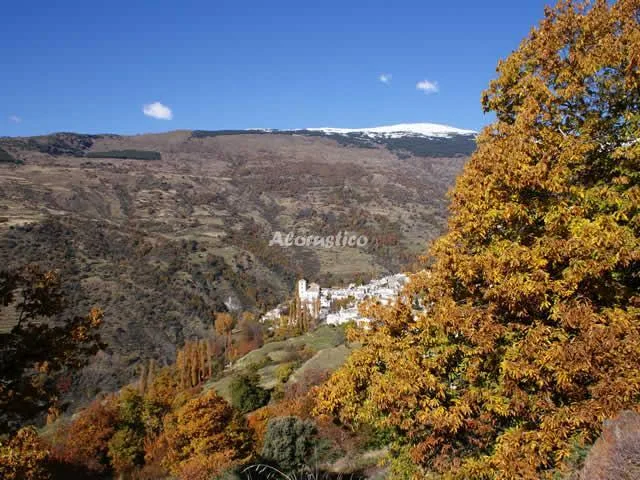 CASA LA ERMITA en BUBIÓN — miniatura 16