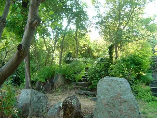 EL TALLER DE PRADO TORO en PITRES — miniatura 7