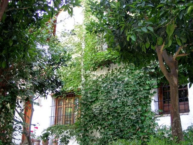 CORTIJO EL BARRANCO en ÓRGIVA — miniatura 9