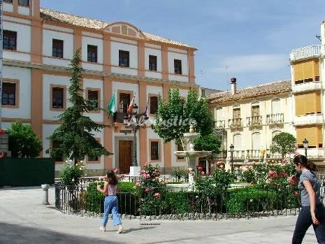 CORTIJO EL ABUELO, CASA ABAJO en BAZA — miniatura 7