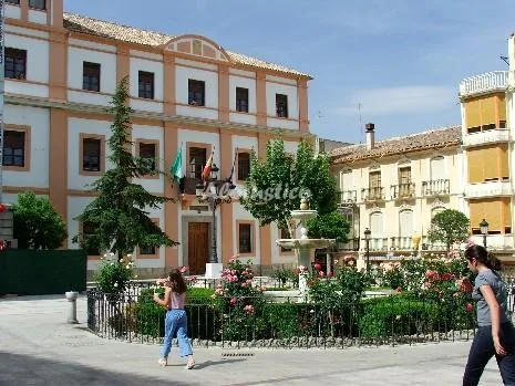 CORTIJO EL ABUELO, CASA ARRIBA en BAZA — miniatura 7