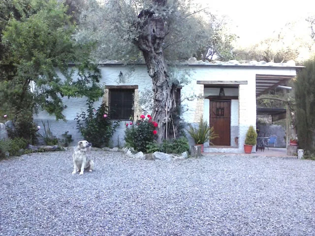 Alojamiento turístico CASA ALBERTO en ÓRGIVA · GRANADA