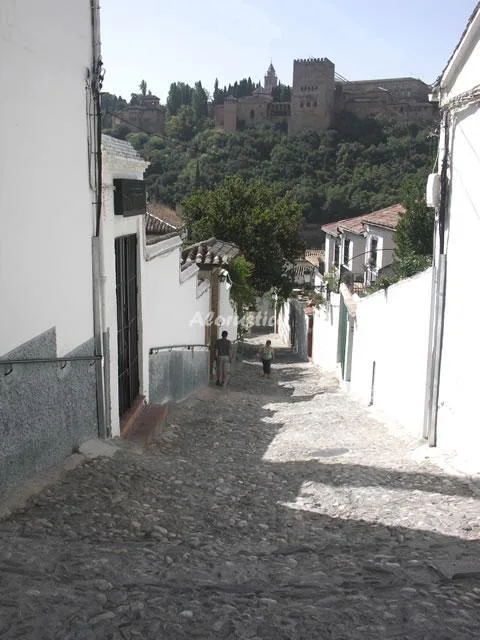 EL BALCÓN DEL ALBAICÍN-BAJO B en GRANADA — miniatura 15