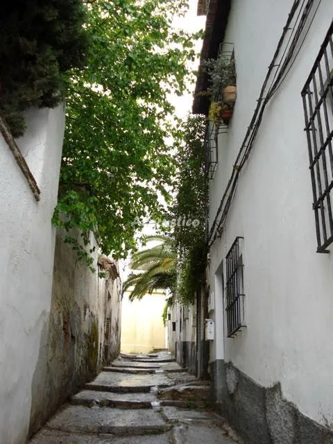 EL BALCÓN DEL ALBAICÍN-BAJO B en GRANADA — miniatura 28