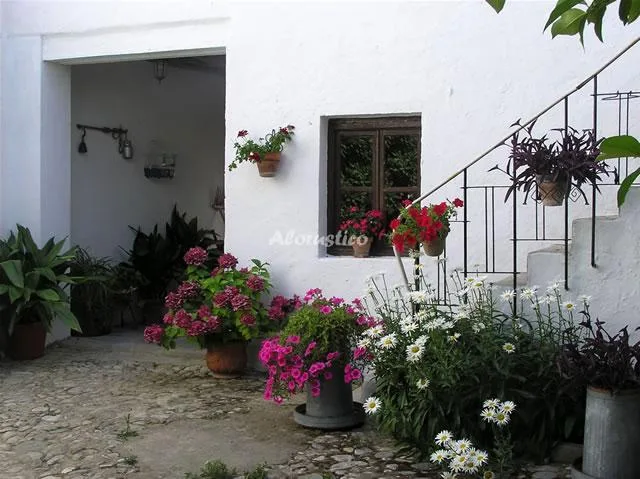 LAS ALBERQUILLAS - PLANTA BAJA en DILAR — foto 2