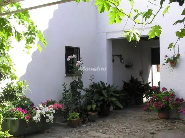 LAS ALBERQUILLAS - PLANTA BAJA en DILAR — miniatura 16