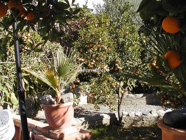 Alojamiento turístico CORTIJO EL CHINA 3 en ÓRGIVA, GRANADA