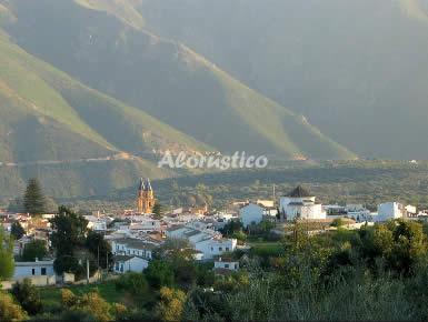 Alojamiento turístico CORTIJO LA PIEDRA en ÓRGIVA, GRANADA
