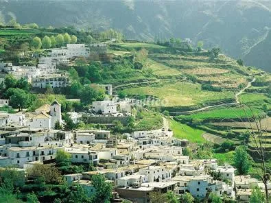 CORTIJO LA PIEDRA en ÓRGIVA — miniatura 7